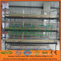 Equipment for Chicken Factory (3-5 Tiers Cages)